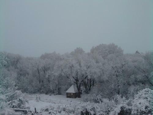 Hostal Guest House U Rodnika