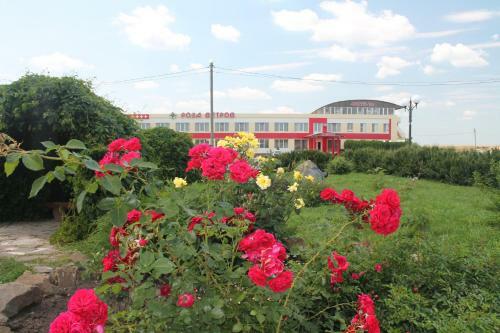 Motel Hotel Rosa Vetrov