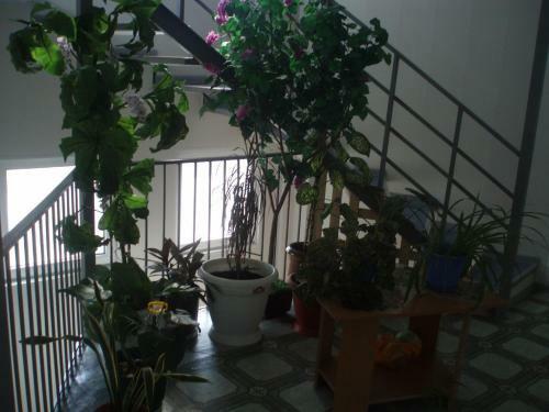 Hostal Guest House Anapa24