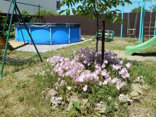 Hostal Guest House Anastasia