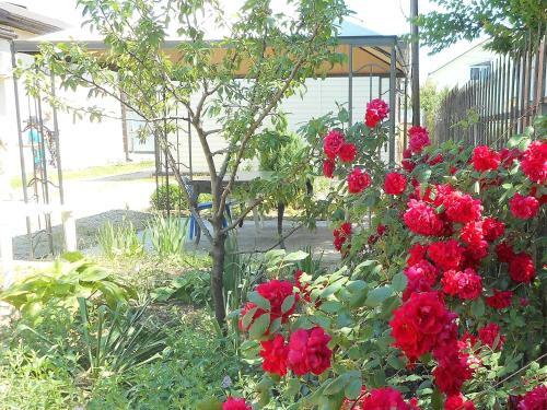 Hostal Guest House Anastasia