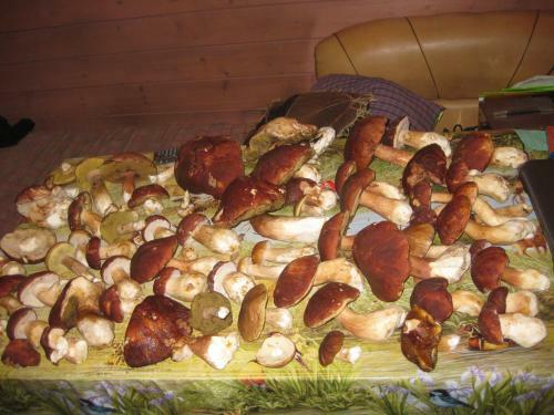 Hostal Holiday Home Pribrezhnyy