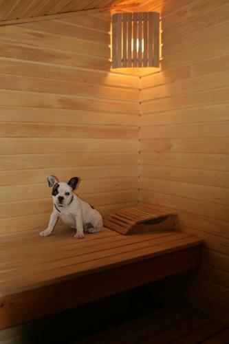 Hostal Holiday Home Pribrezhnyy