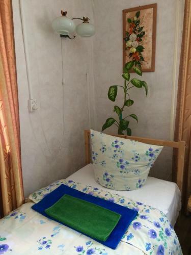 Hostal V Gostyah U Svetlany