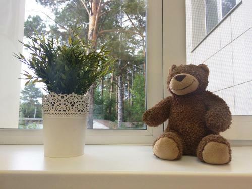 Hostel Plushevyi Mishka