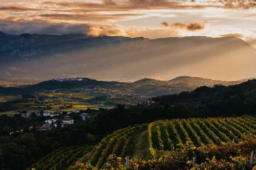 Youth Hostel Ajdovscina