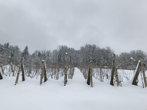 Lodge Romantic Cottage House