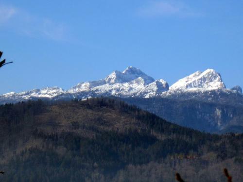Apartment Krek