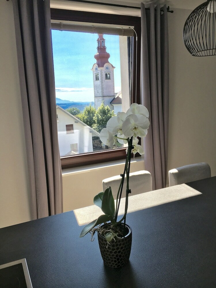 Apartamentos Studio ?pica