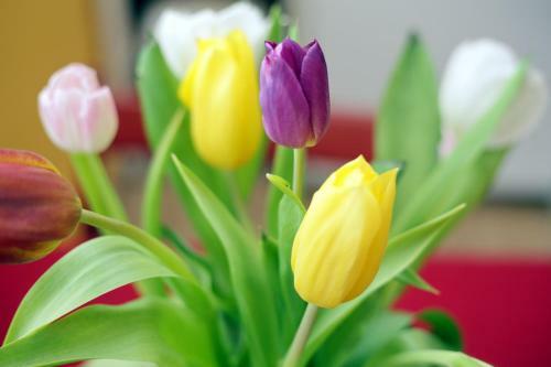 Apartments Life & Energy