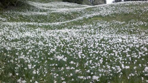 Hostal Penzion Pr' Betel