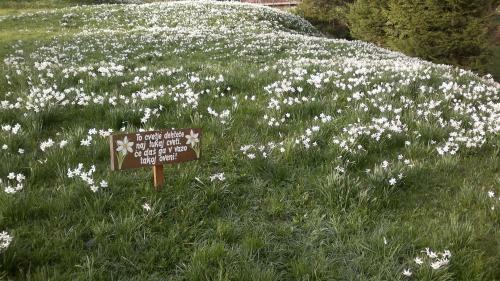 Hostal Penzion Pr' Betel