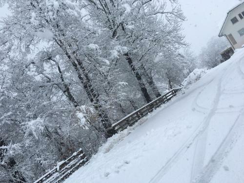 Hotel Gostilna Logar