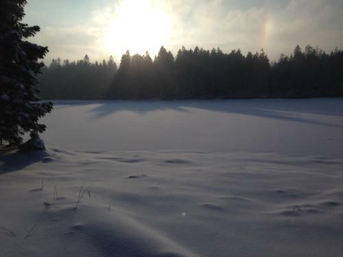 Aparthotel Luxury Apartments Bona - Bolfenk