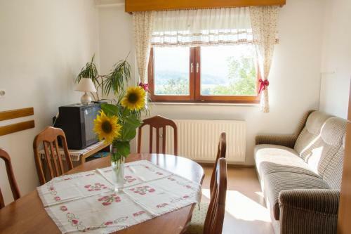 Apartamentos Preno?i??a Jezero