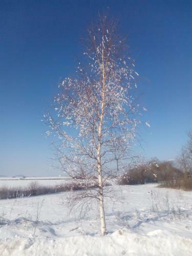 Apartamentos Preno?i??a Jezero