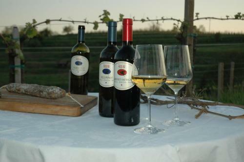 Agroturismo Farm Stay ?ibav B&B