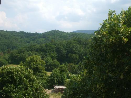 Bed & Breakfast Osterija Na Planinci