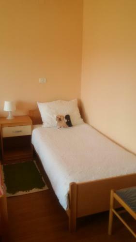 Bed & Breakfast Osterija Na Planinci