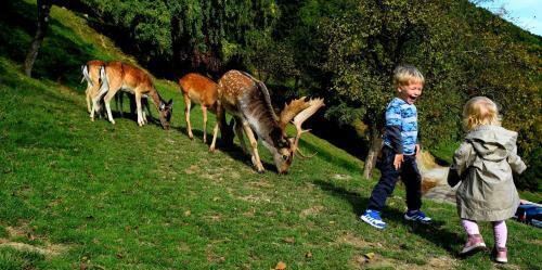 Hostal Guesthouse Jelenov Greben