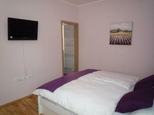 Bed & Breakfast Guesthouse Pri Mihelovih