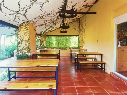 Hotel Palazzo Pavone Gallery & Resort