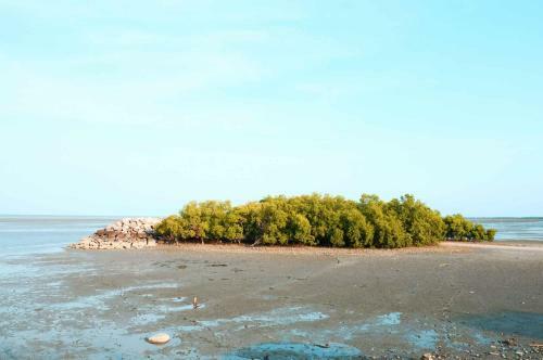 Fisherman's Villa Sea View