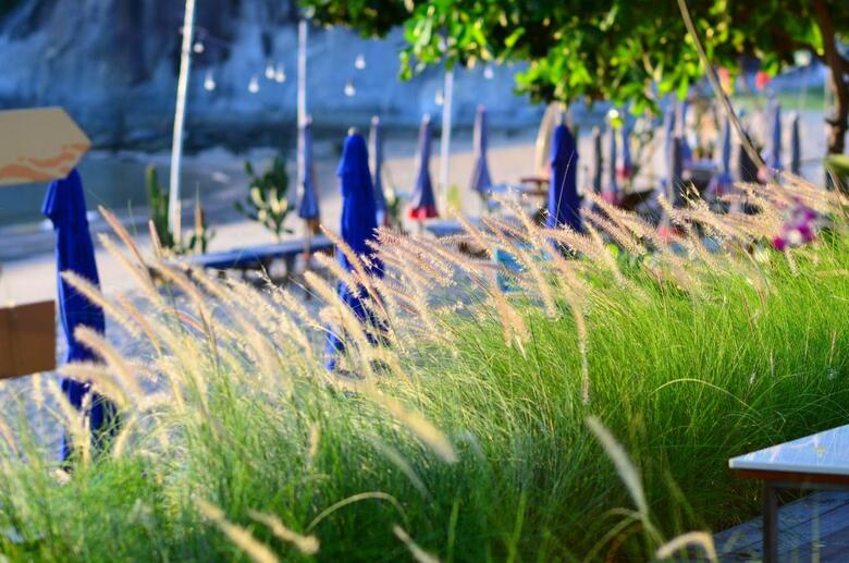 Hotel Sanae Beach Club