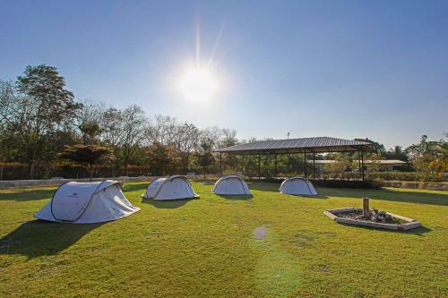 Agroturismo White Knot Khao Yai By D Varee