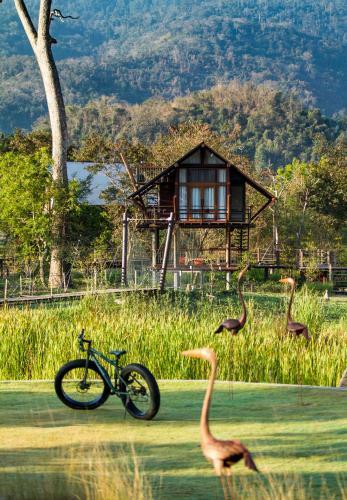 Hotel Lala Mukha Tented Resort Khao Yai