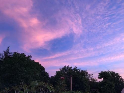 Hotel Baan Suan Rim Nam