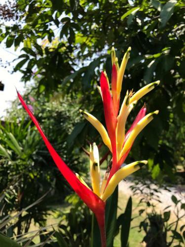 Hotel Baan Suan Rim Nam