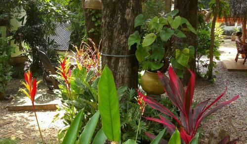 Hostal Mut Mee Garden Guest House