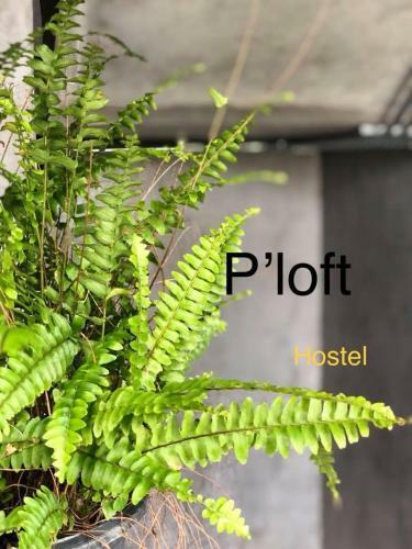P's Loft Hostel