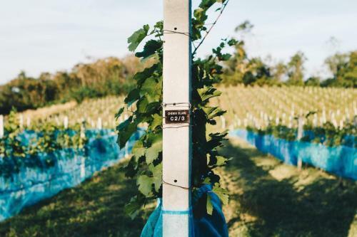 Issara Boutique Winery Hotel