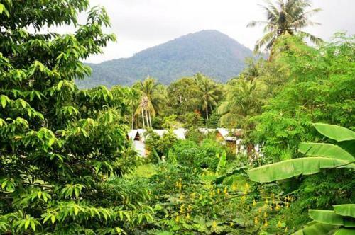 Hotel Jungle Garden Bungalows