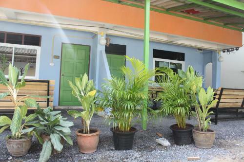 Albergue Phangan Guest House