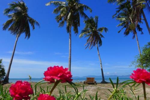 Plumeria