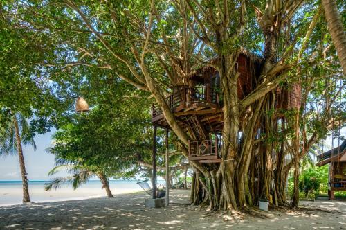 Albergue Goodtime Koh Phangan