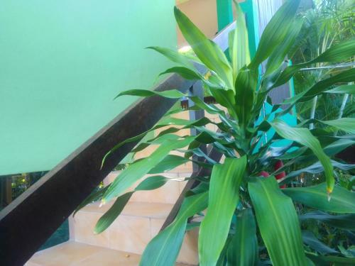Hotel Seaview'n'beach Resort