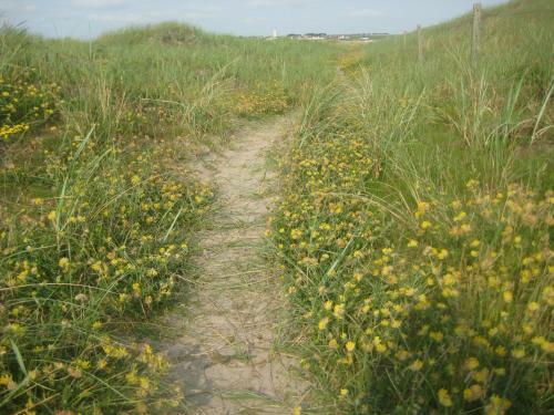 Hostal Seasons Lodge Guesthouse
