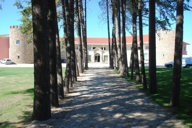Palace Hotel & Spa Termas De Sao Tiago