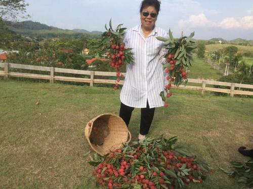 Baansuan Nanglae Hill Homestay