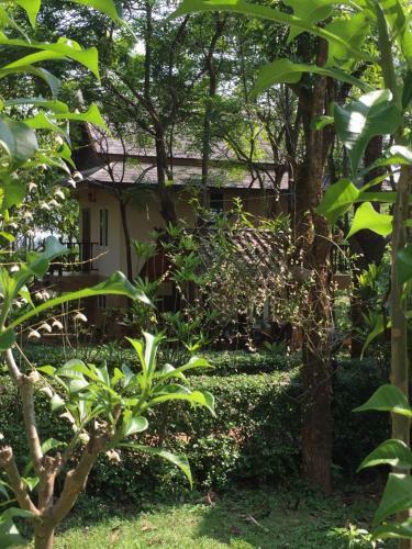 Hotel Khaoyai Nature Retreat