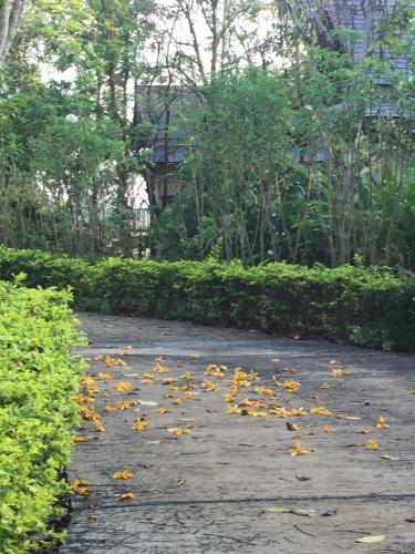 Hotel Khaoyai Nature Retreat