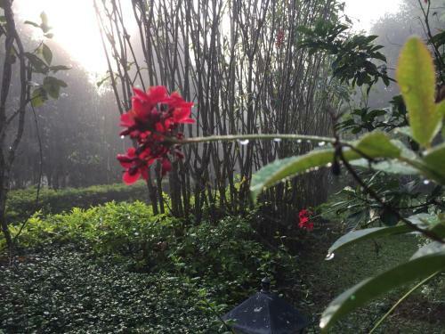 Hotel Khaoyai Nature Retreat