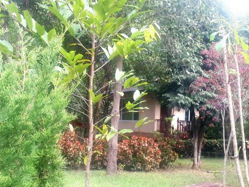 Hotel Khaoyai Nature Retreat