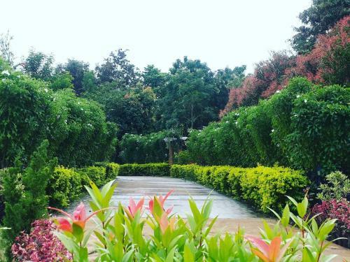 Hotel Khaoyai Nature Retreat