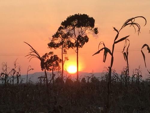 Hotel Khaoyai Nature Retreat