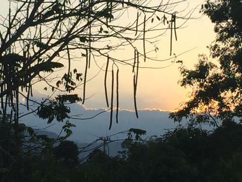 Hotel Khaoyai Nature Retreat
